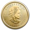 2023 Maple Leaf 1/10 onza oro puro .9999 24 kilates. - Image 2