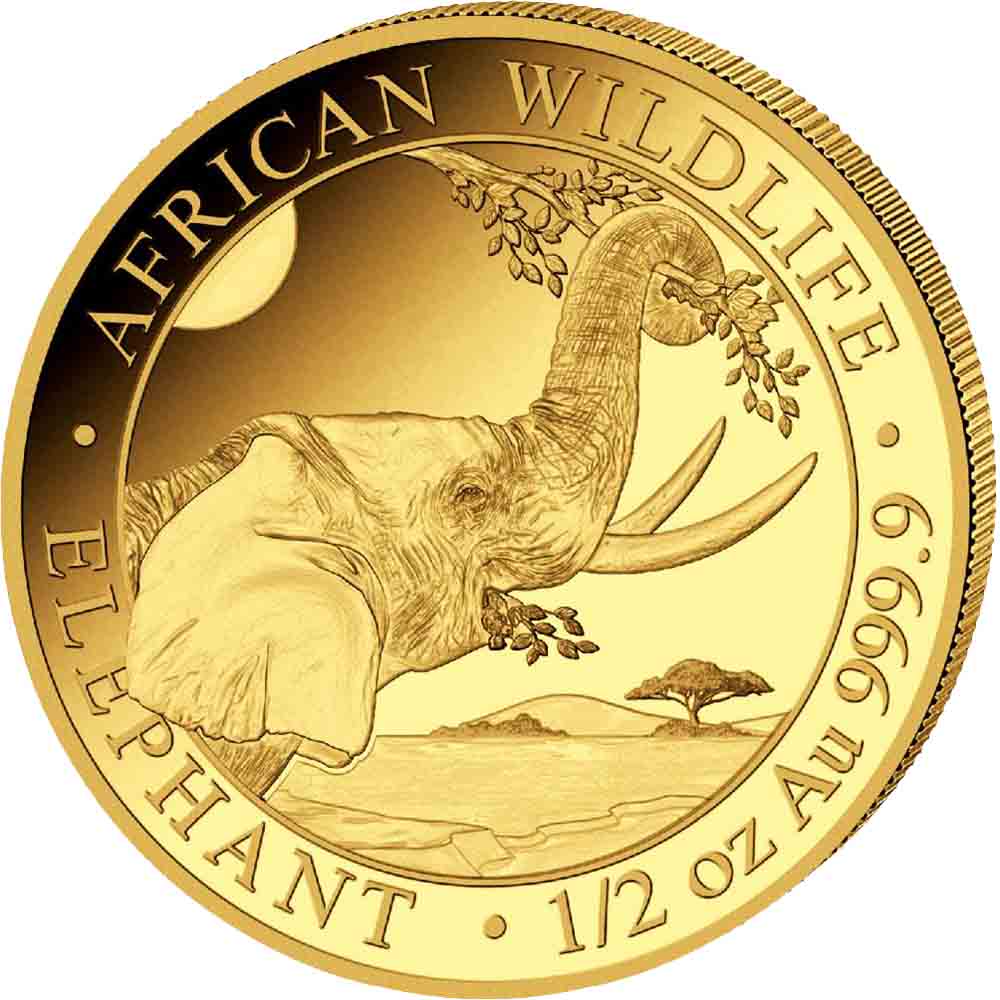 2023 Somalia 1/2 onza Elefante Africano oro .9999 – Numismática