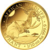 2023 Somalia 1/10 de onza Elefante Africano oro .9999