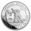 Somalia 2024 Elefante Africano 1 oz. plata pura .999